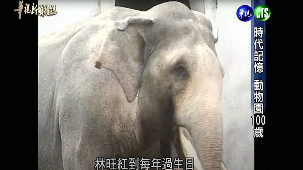 時代記憶：動物園100歲