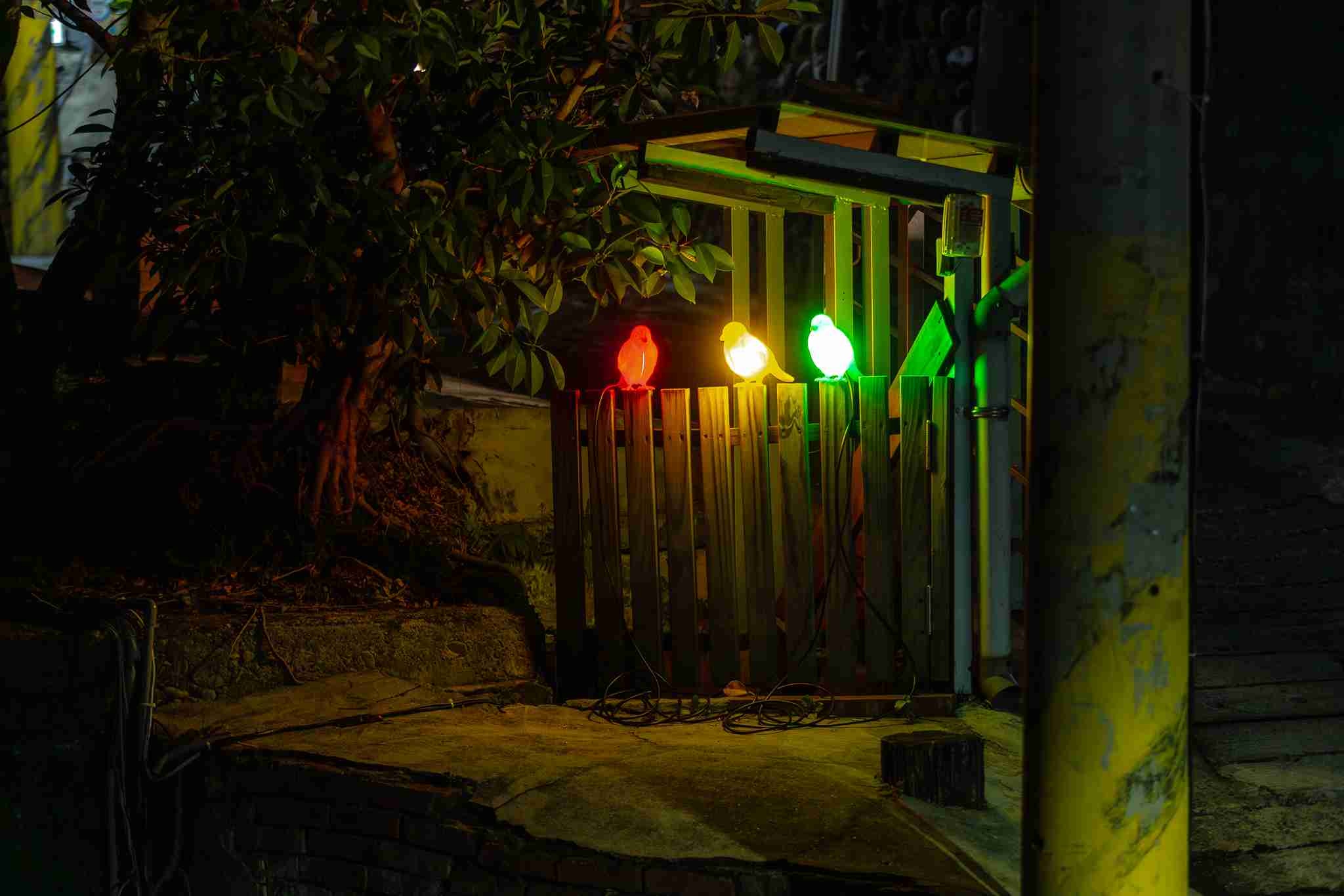 3 暫在此地的紅黃綠 3