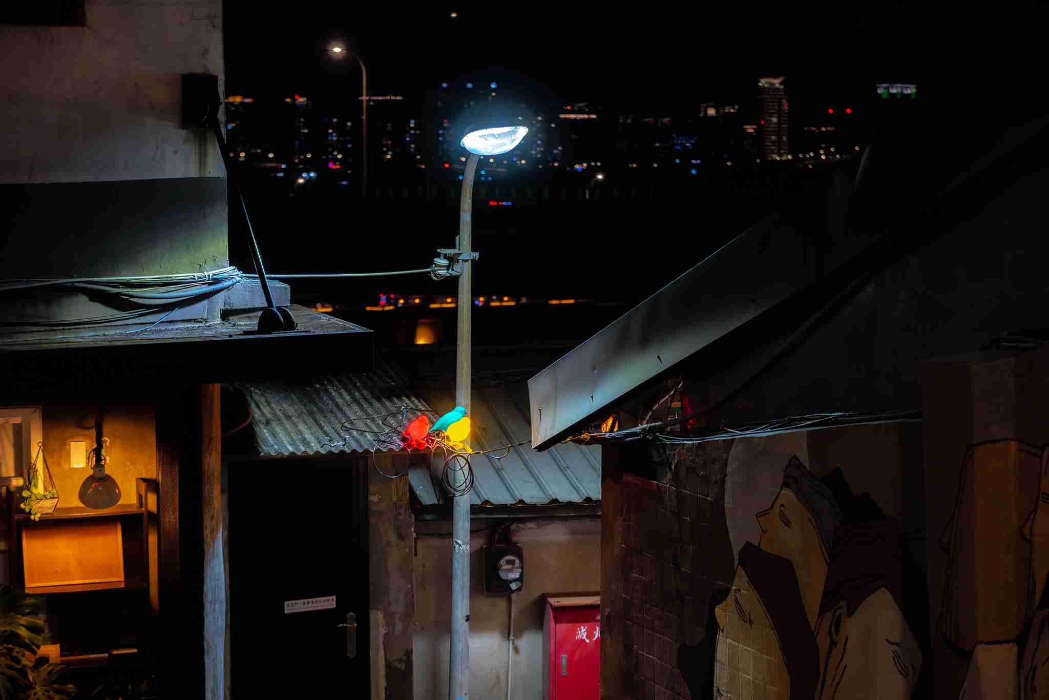 5 暫在此地的紅黃綠 5